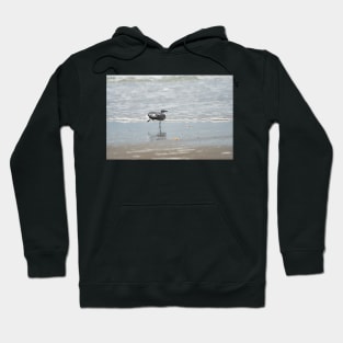 Stretching gull Hoodie